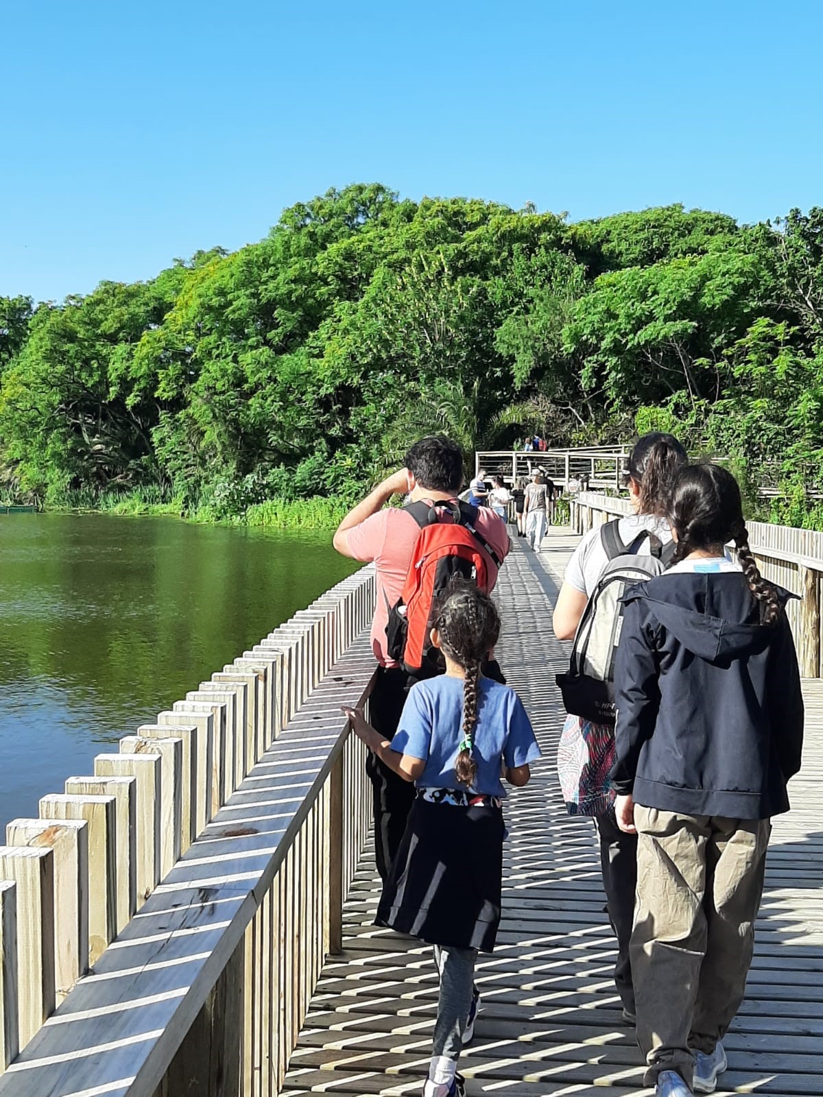 Día Mundial del Medio Ambiente: se cumplen 40 años de la creación de la Reserva Ecológica Costanera Sur