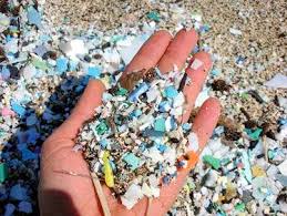 Se espera que para el año 2050, el peso de los plásticos en los mares superará el peso de todos los peces