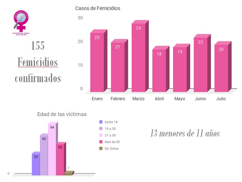 En Argentina se cometieron 155 femicidios durante los primeros 7 meses del 2019