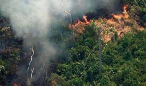 Las INDH de Argentina, Costa Rica, Ecuador, Guatemala, Honduras, Panamá y México expresaron su preocupación por los incendios en la Selva Amazónica